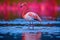 a flamingo walking through the water in a lake