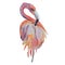 Flamingo watercolor illustration on white background, exotic bird.