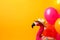 Flamingo wearing sombrero hat, balloons