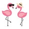 Flamingo Wearing Sunglasses and Hat in Summer