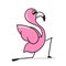 Flamingo yoga. Cartoon flamingo isolated on white background. Vector