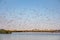 Flamingoes at bird paradise, walvis bay, namibia