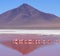 Flamingoes On Laguna Colorada