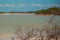 Flamingoes at Rio Lagartos Biosphere Reserve, Yucatan, Mexico