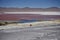 Flamingoes on the spectacular pink Laguna Colorada, Bolivia.