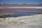 Flamingoes on the spectacular pink Laguna Colorada, Bolivia.