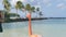 Flamingos on the beach. Aruba island