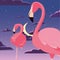 Flamingos exotic birds