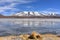 Flamingos feeding on the frozen waters of Laguna Hedionda, Sud Lipez, Uyuni, Bolivia