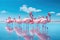 Flamingos in the lagoon of Salar de Uyuni, Bolivia, Group birds of pink african flamingos walking around the blue lagoon on a