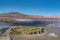 Flamingos at Laguna Colorada Red Lagoon, Bolivia