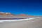 Flamingos in Laguna Hedionda, lagoon located in the Bolivian Altiplano near the Uyuni Salt Flat in Bolivia