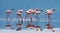 Flamingos on the lake with reflection. Kenya. Africa. Nakuru National Park. Lake Bogoria National Reserve.