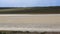 Flamingos in a Patagonian lagoon, Chile