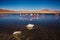 Flamingos in Reserva Eduardo Avaroa, Bolivia Salar de uyuni altiplano