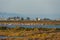 Flamingos at sunset, Delta del Ebro, Spain