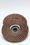 Flap abrasive disc