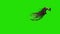 Flapping Brown Feathered Wings Side Green Screen 3D Rendering Animation