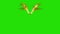 Flapping Gold Feathered Wings Front Green Screen 3D Rendering Animation