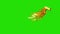 Flapping Gold Feathered Wings Side Green Screen 3D Rendering Animation