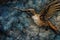 Flapping Hummingbird Close Up Cosmic Cartographer Interstellar Map Background With Indigo And Gold Colors - Generative AI
