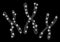 Flare Mesh Network Chromosomes with Flare Spots