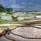 Flarmer plowing terraced rice fields, China