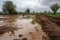 flash flood in farm field, with crops washed away and livestock running for safety