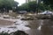 flash flood overtaking city park, with debris and cars floating in the water