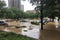 flash flood overtaking city park, with debris and cars floating in the water