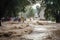 flash flood rushing over riverbank and into neighborhood, with people fleeing the rising water