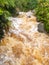 Flash flood in West Coast creek, NZ South Island