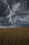 Flash lightning over a field