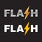 Flash Logo. Vector