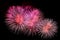 Flashes of festive pink salute fireworks