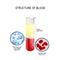 Flask with blood components: red and white blood cells, plasma, and platelets