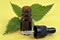 Flask and pipette of nettle essential oil on yellow background