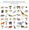 Flat Africa flora and fauna map constructor elements. Animals, b