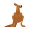 flat australian kangaroo