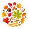 Flat autumn leaves. Colorful fall park leaf maple elm oak chestnut, geometric flat foliage. Round fall themed vector