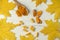 Flat background with turmeric in different shapes Capsule and powder in a wooden spoon and root cut into pieces