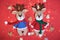 Flat background on Valentines day or new year. Two adorable hand knitted amigurumi reindeer in red and blue sweater and scarves on