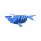 Flat Blue And Dark Blue Fantastic Colorful Aquarium Fish, Tropical Reef Aquatic Animal