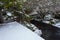 Flat carport roof covered in snow, asphalt driveway, trees and garden, residential neighborhood