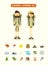 Flat cartoon couple with hiking equipment isolated