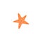 Flat cartoon icon of starfish, star fish