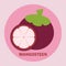 Flat cartoon magosteen vector png for icon logo and clipart in cute background fruits