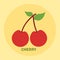 Flat cherry vector png for cute icon and clipart for summer and kids book fruits list