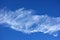 A Flat Cirrus Dragon Body Cloud