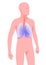 Flat color illustration of a person`s silhouette, lungs and bronchi.